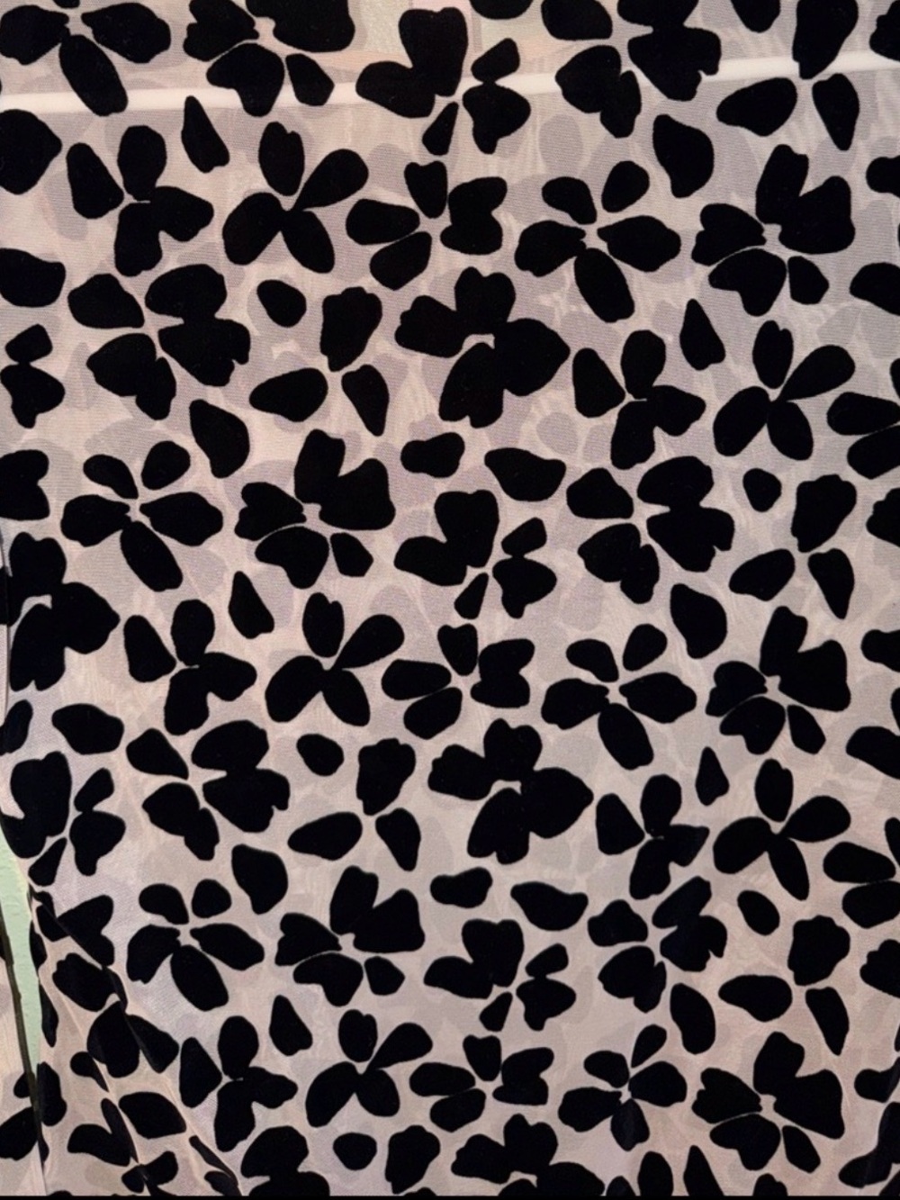 Victoria's Secret Black Floral Velvet-Print Long Sleeve Bodysuit on Cream❤️
